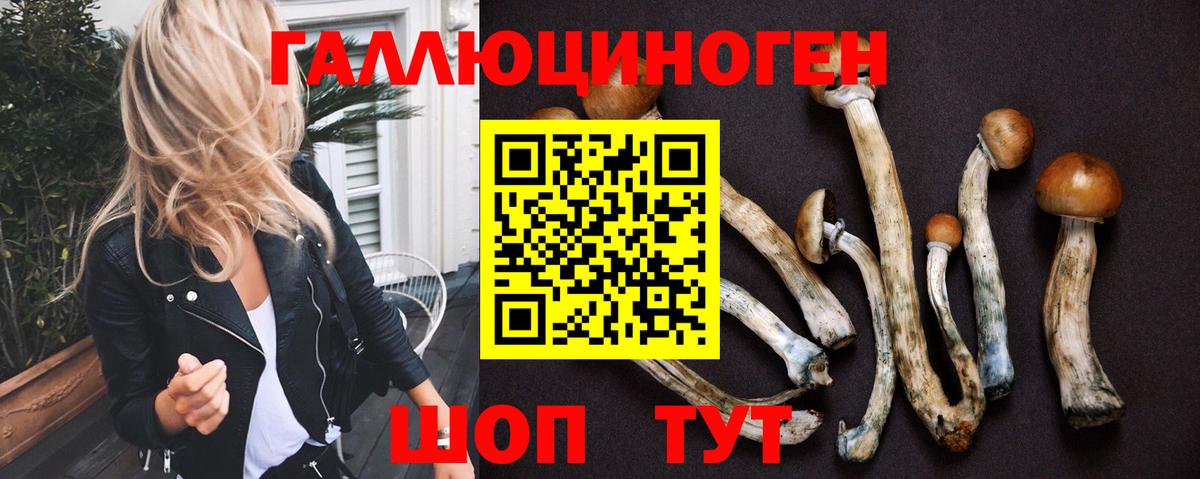 купить наркотик  Вход с VPN  Шелехов  Псилоцибиновые грибы Magic Shrooms  Галлюциногенные грибы Magic Shrooms 