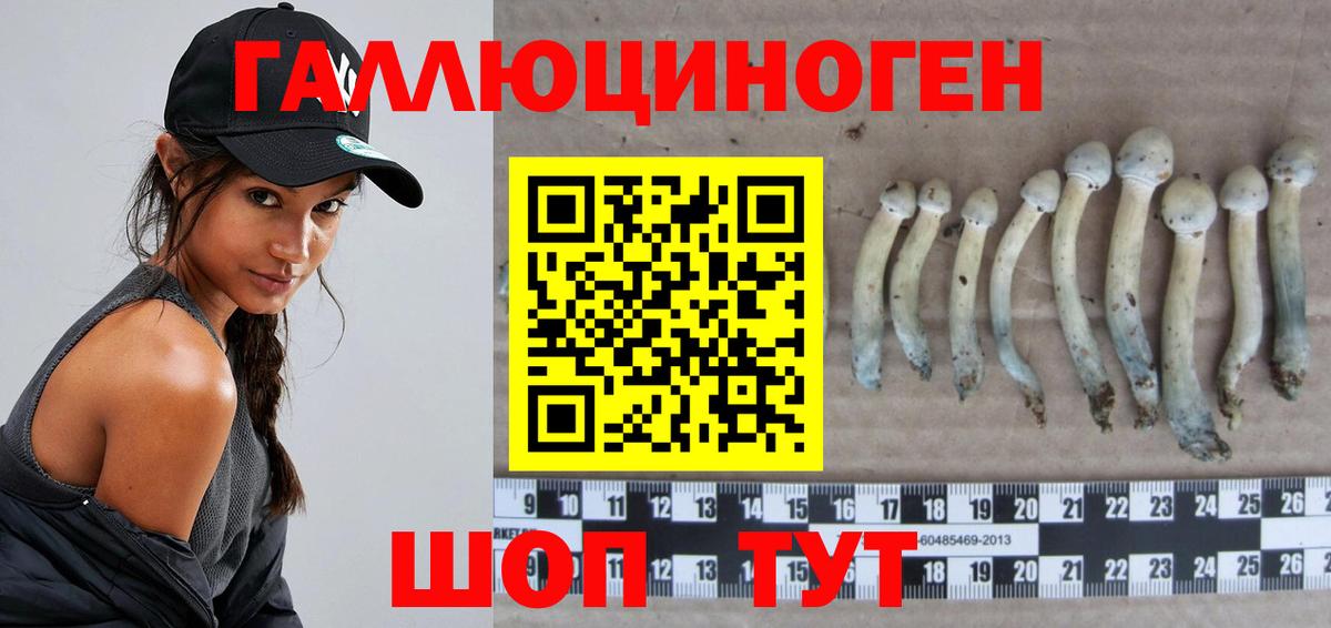 Галлюциногенные грибы Cubensis Шелехов